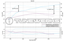 Load image into Gallery viewer, Fiesta ST Custom Tune ECU Calibration / Big Turbo Upgrade by Tunewerks
