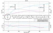 Load image into Gallery viewer, Fiesta ST Custom Tune ECU Calibration / Big Turbo Upgrade by Tunewerks
