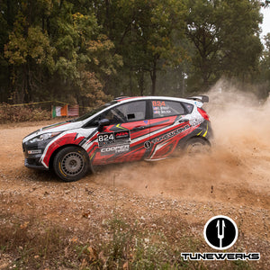 Fiesta ST custom tuner / Fiesta ST custom tune / Custom Fiesta ST Tune